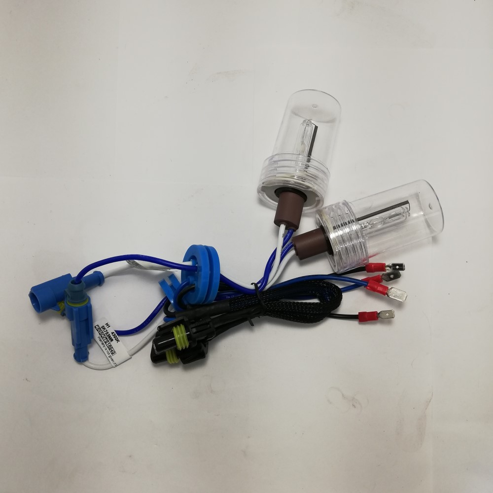 H1 HID Globe (Single) - Image 4